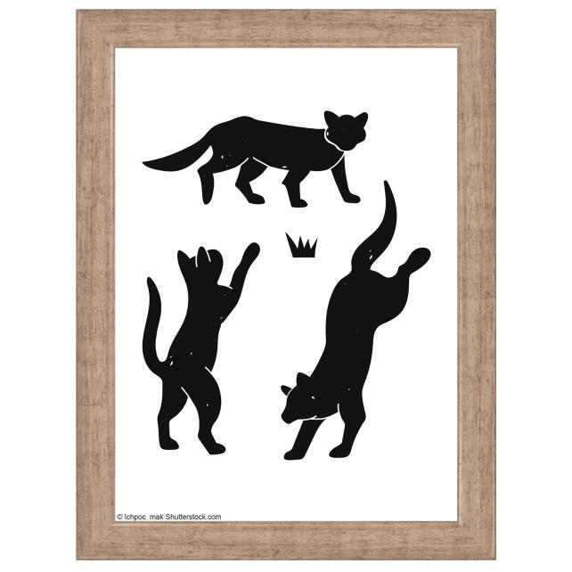 Okvir Liv siva 13x18 cm - Paspartui Bijela 10x12 cm