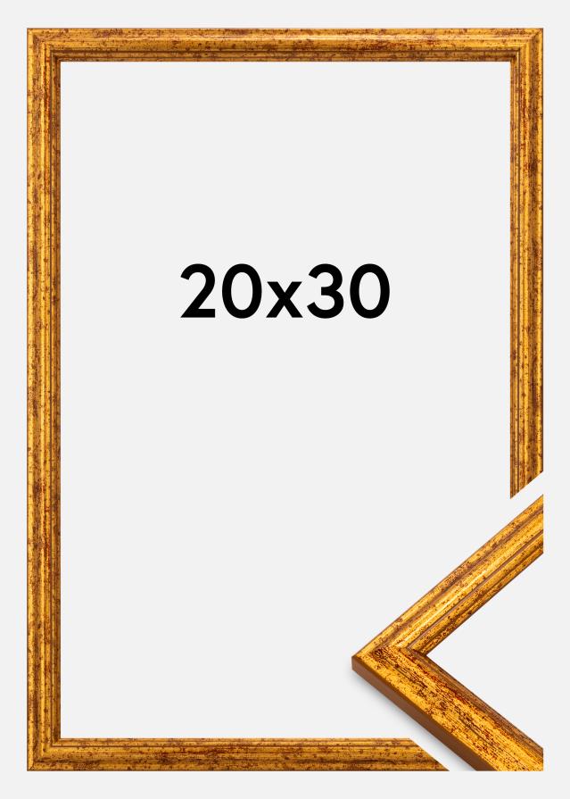 Okvir Claudia Akrylglas Zlatna 20x30 cm