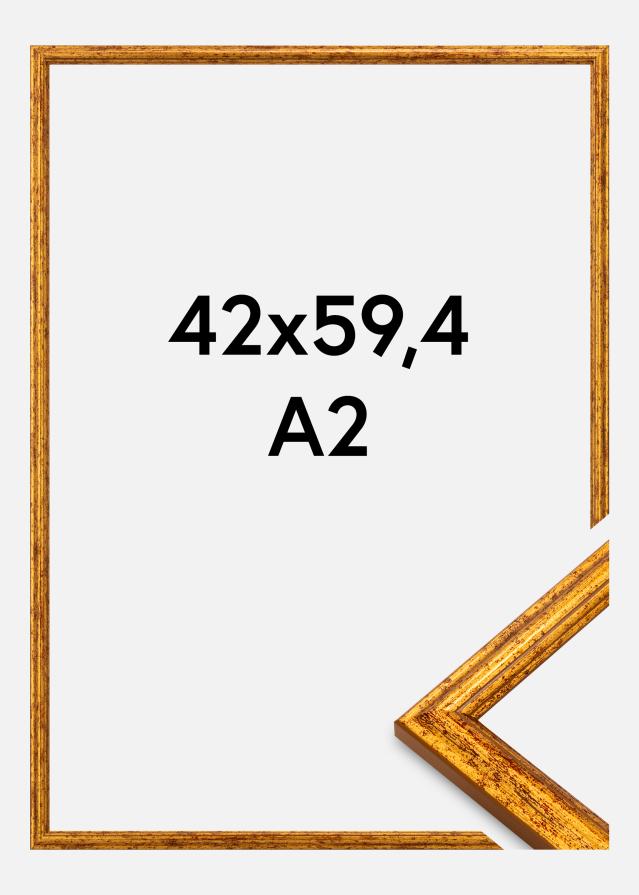 Okvir Claudia Akrylglas Zlato 42x59,4 cm (A2)