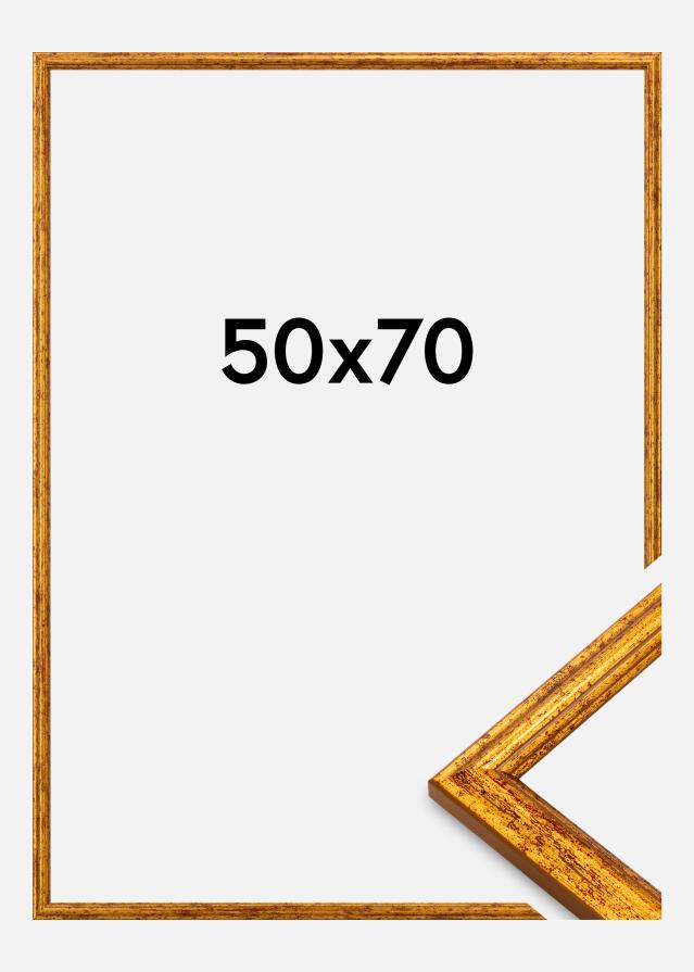 Okvir Claudia Akrilno staklo Zlatni 50x70 cm