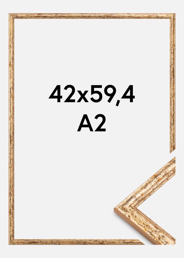 Okvir Claudia Akrylglas Srebro 42x59,4 cm (A2)