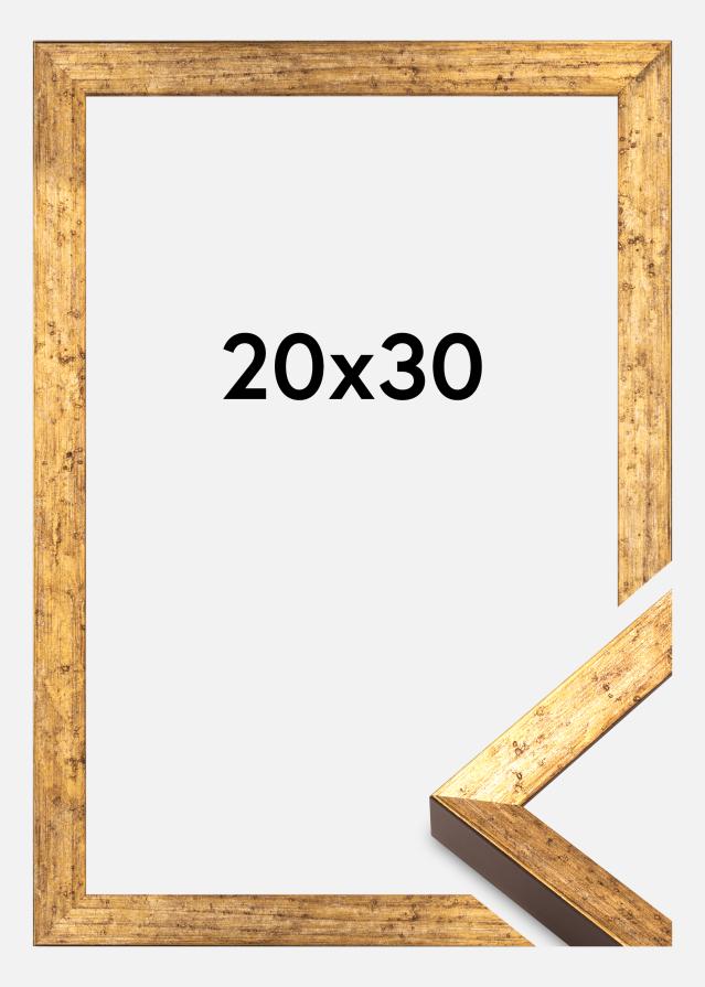 Okvir Dune Akrylglas Zlato 20x30 cm