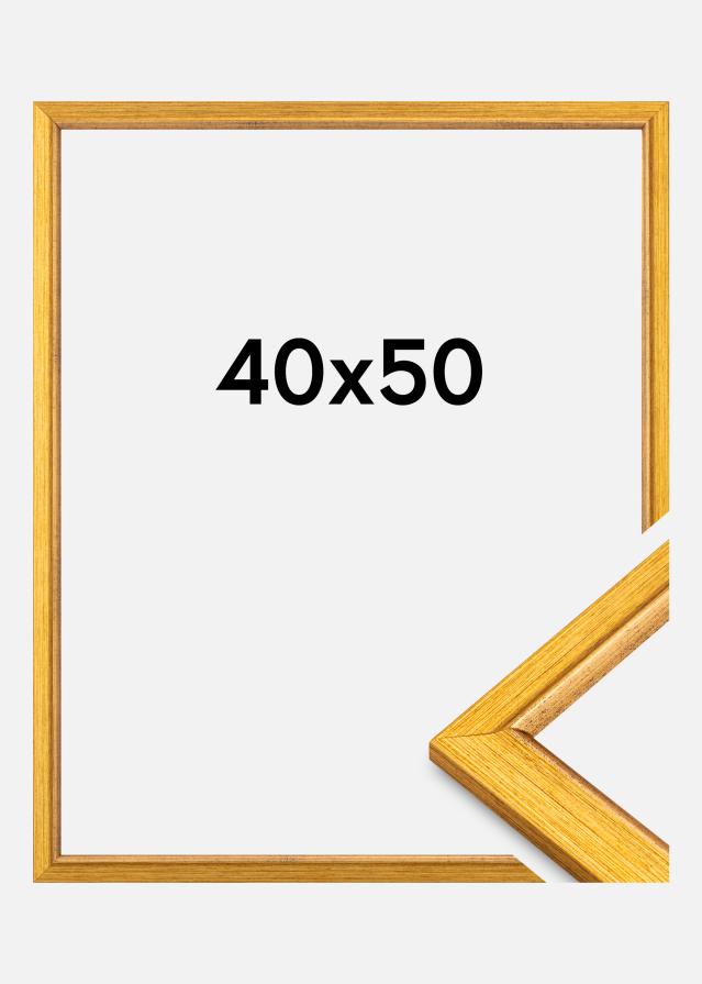 Okvir Marisa Akrylglas Zlatni 40x50 cm