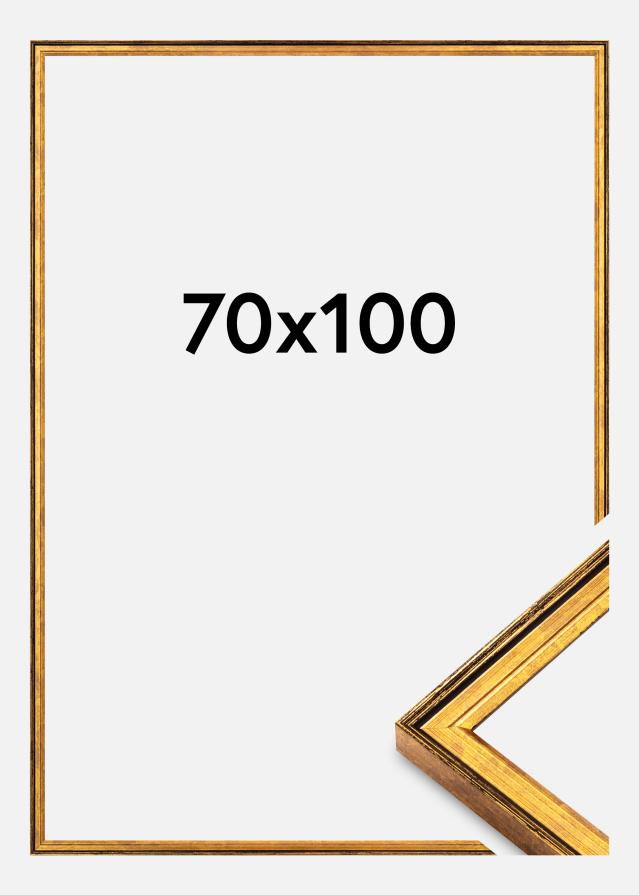 Okvir Ringa Akrilno staklo Zlatna 70x100 cm