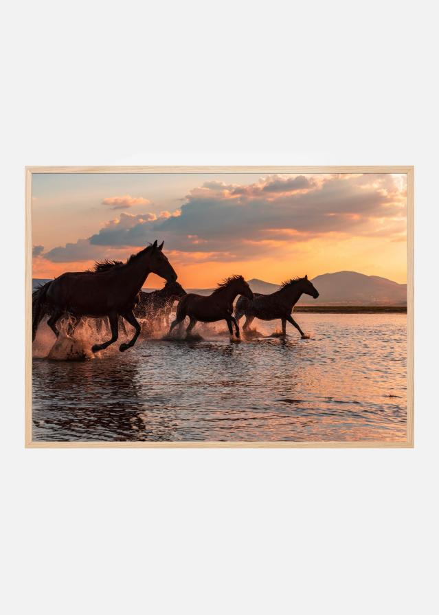 WATER HORSES Plakat