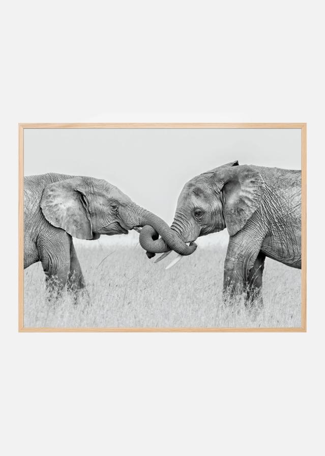 Confrontation Plakat