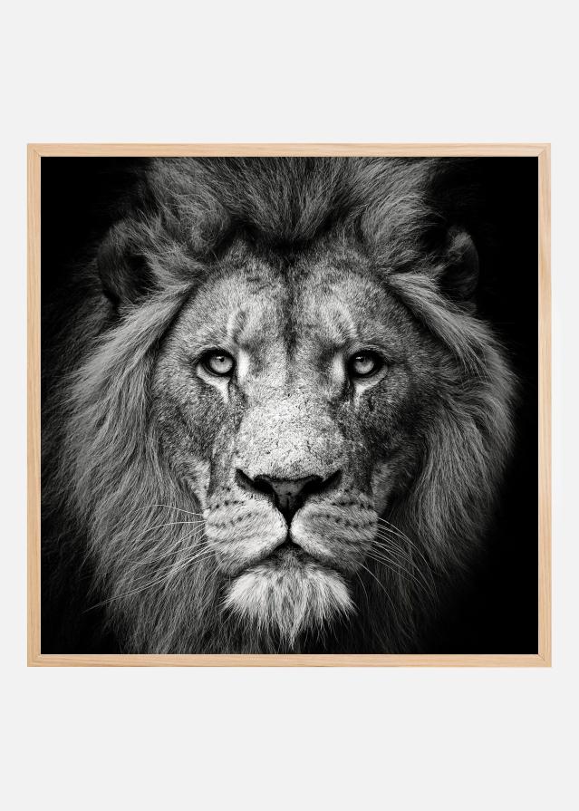 Stare Me Down #3 Plakat