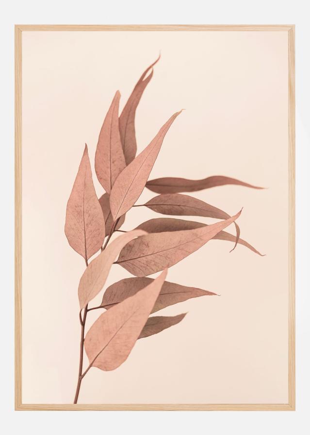 Dried Eucalyptus Plakat