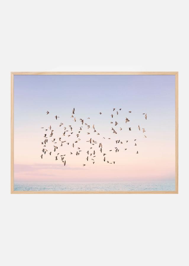 Sunset Flight Plakat