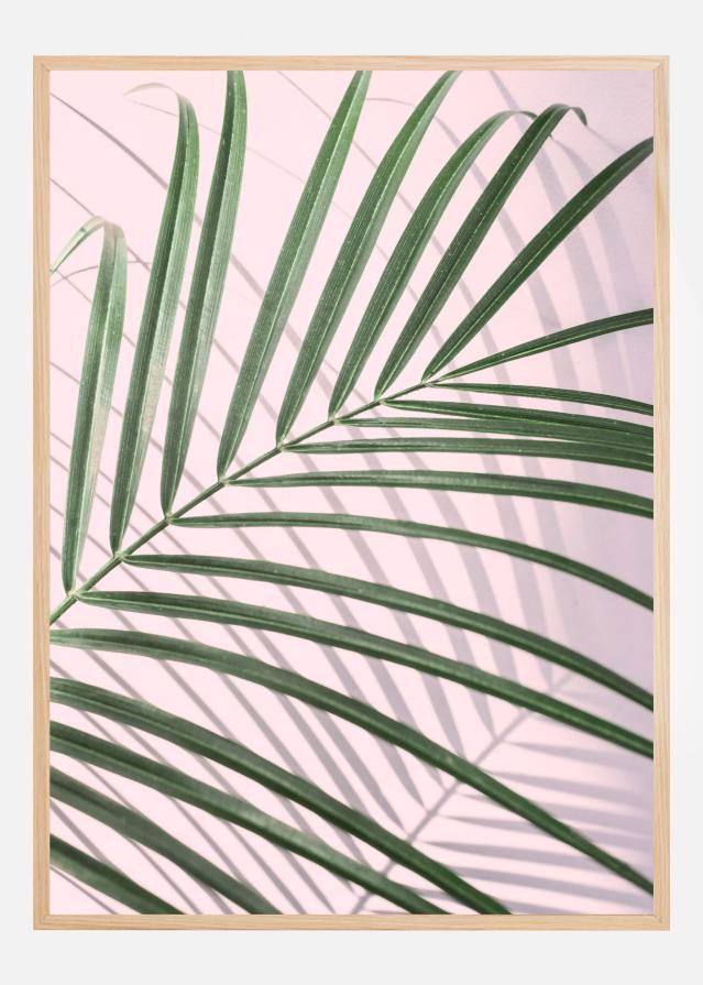 Palm Leaf Shadow Plakat