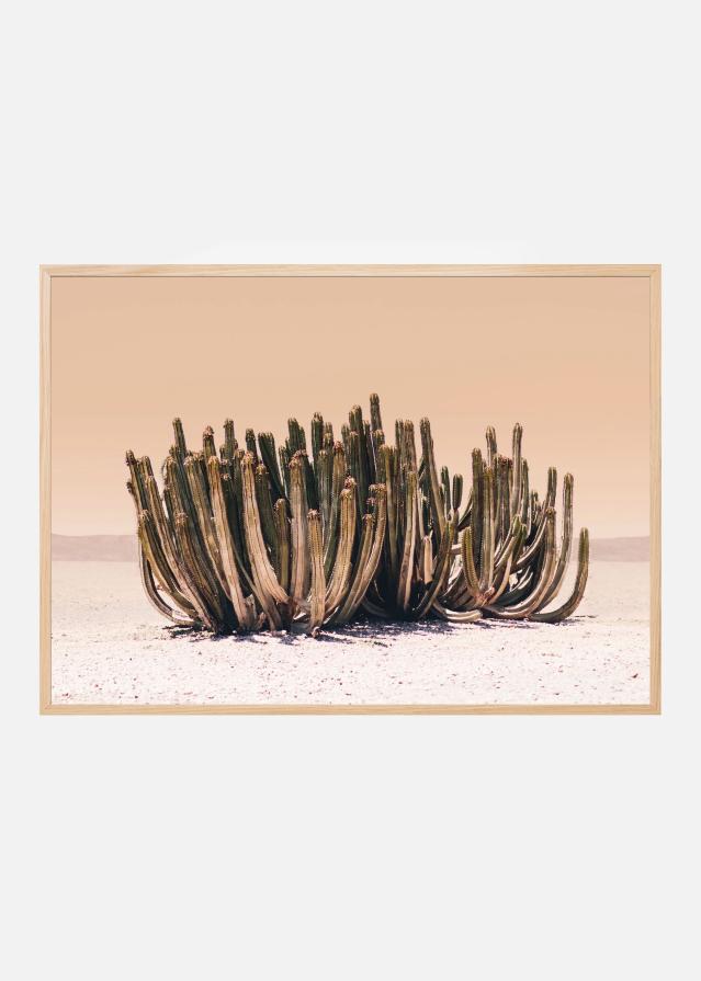 Peach Sky Cactus Plakat