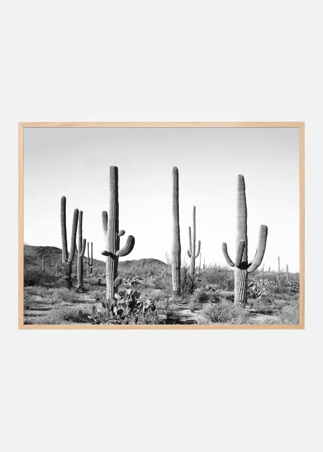 Grey Cactus Land Plakat