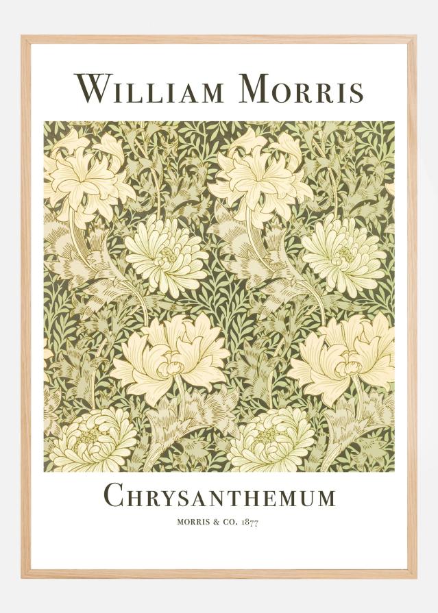 Chrysanthemum Plakat