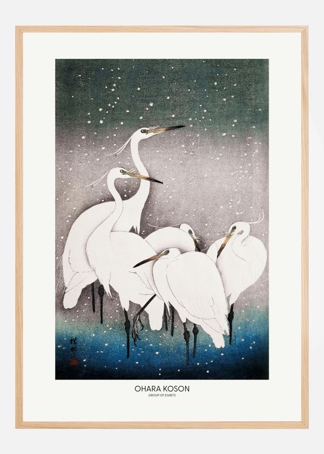 Group Of Egrets Plakat