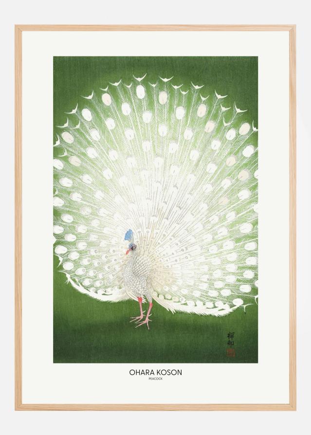 Peacock - Cropped Plakat