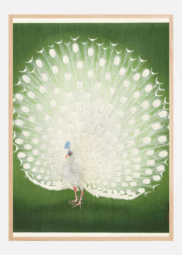 Peacock Plakat