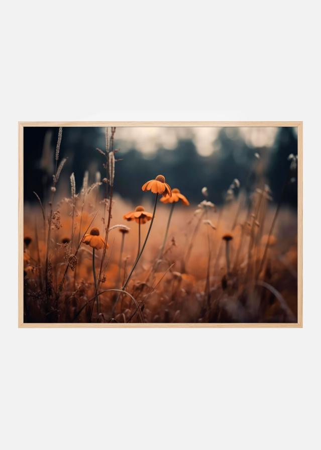 Orange Margarites Plakat