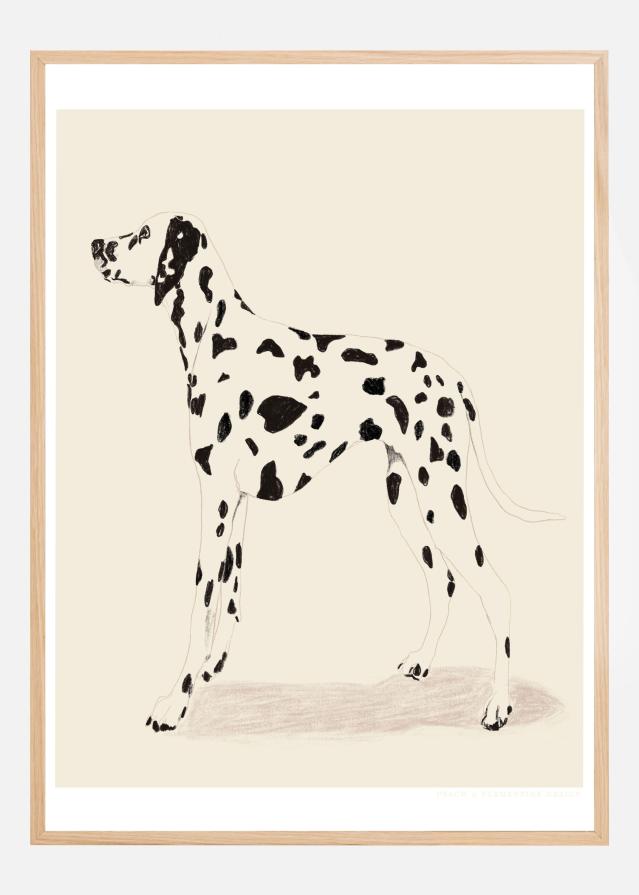 Pandc Dalmation Plakat