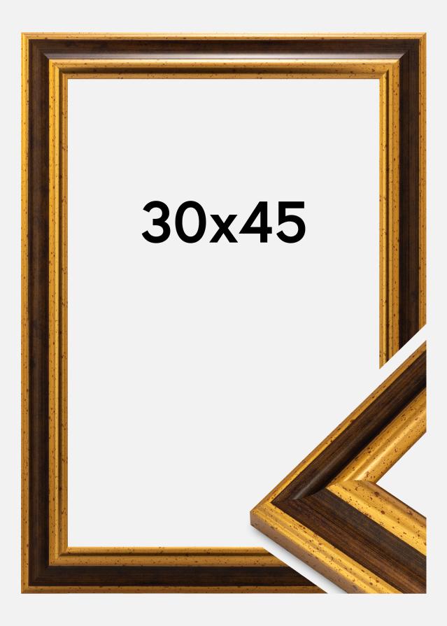 Okvir Aberystwyth Akrilno staklo Zlato 30x45 cm
