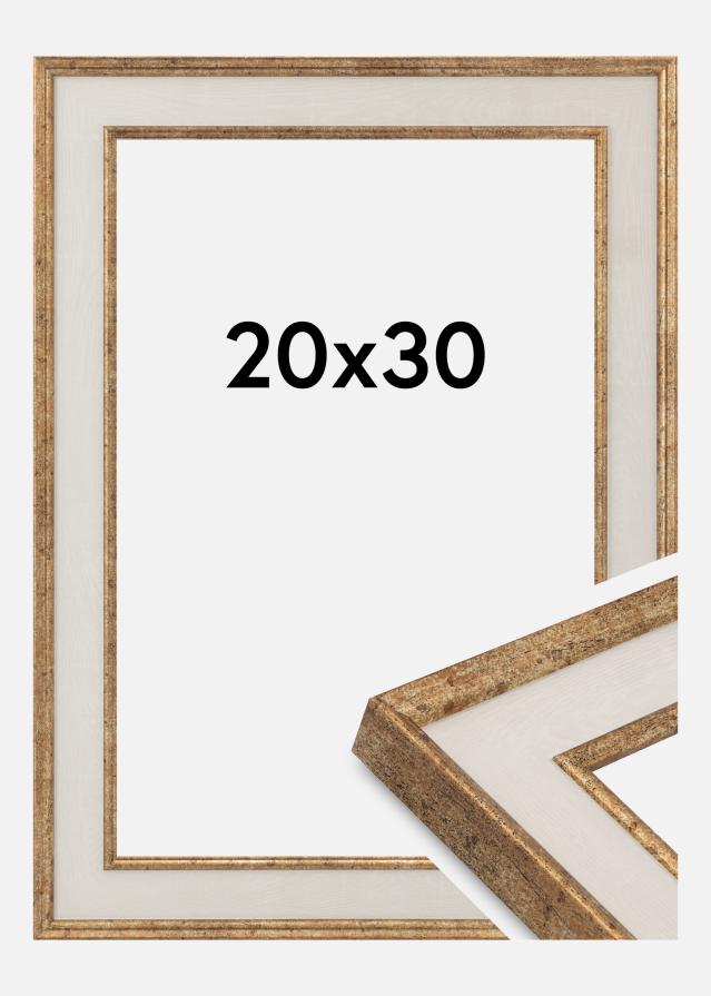 Okvir Dolly Akrilno staklo Zlato 20x30 cm