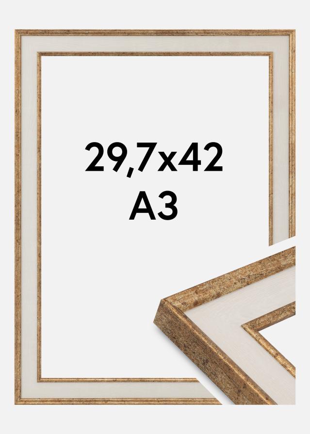 Okvir Dolly Akrilno staklo Zlato 29,7x42 cm (A3)