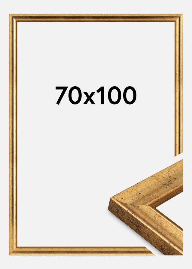 Okvir Conca Akrilno staklo Zlato 70x100 cm