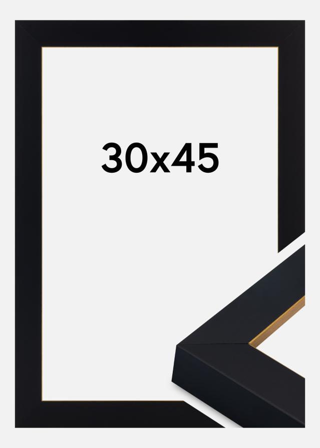 Okvir Sussex Akrilno staklo Crna/Zlatna 30x45 cm
