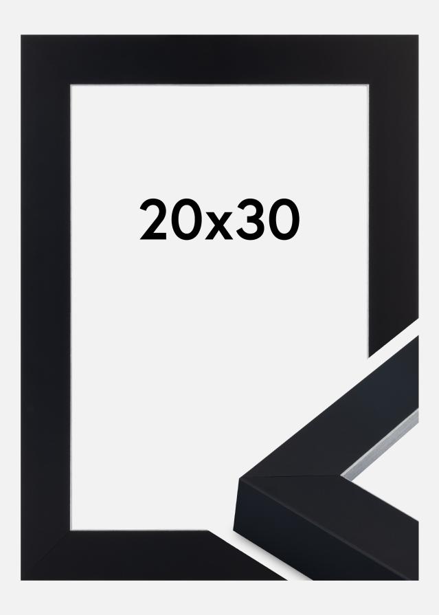 Okvir Sussex Akrilno staklo Crna/Srebrna 20x30 cm