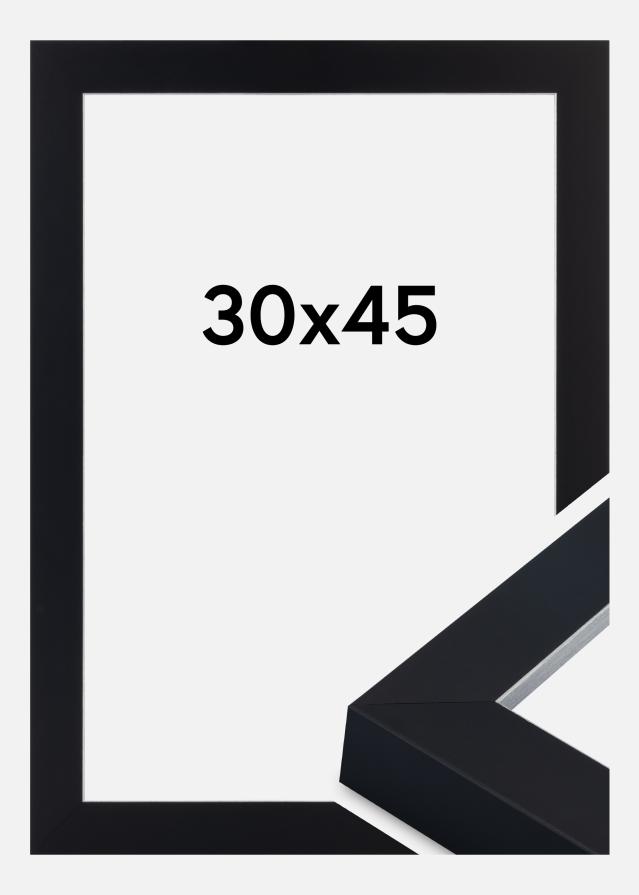 Okvir Sussex Akrilno staklo Crna/Srebrna 30x45 cm