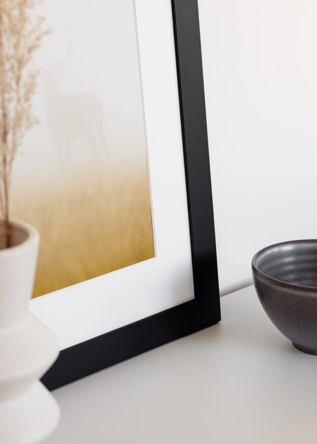 BGA Select Wide Akrilno staklo Crno 59,4x84,1 cm (A1)