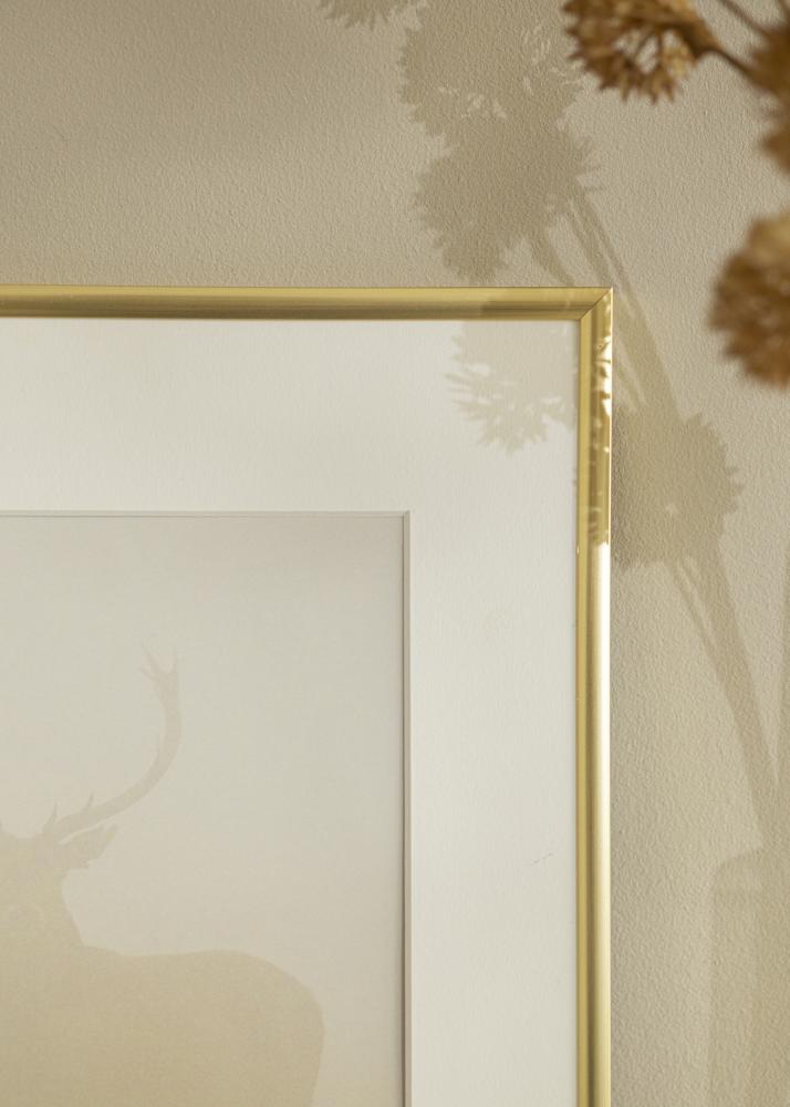 Okvir New Lifestyle Zlato 30x30 cm - Paspartui Bijela 19x19 cm