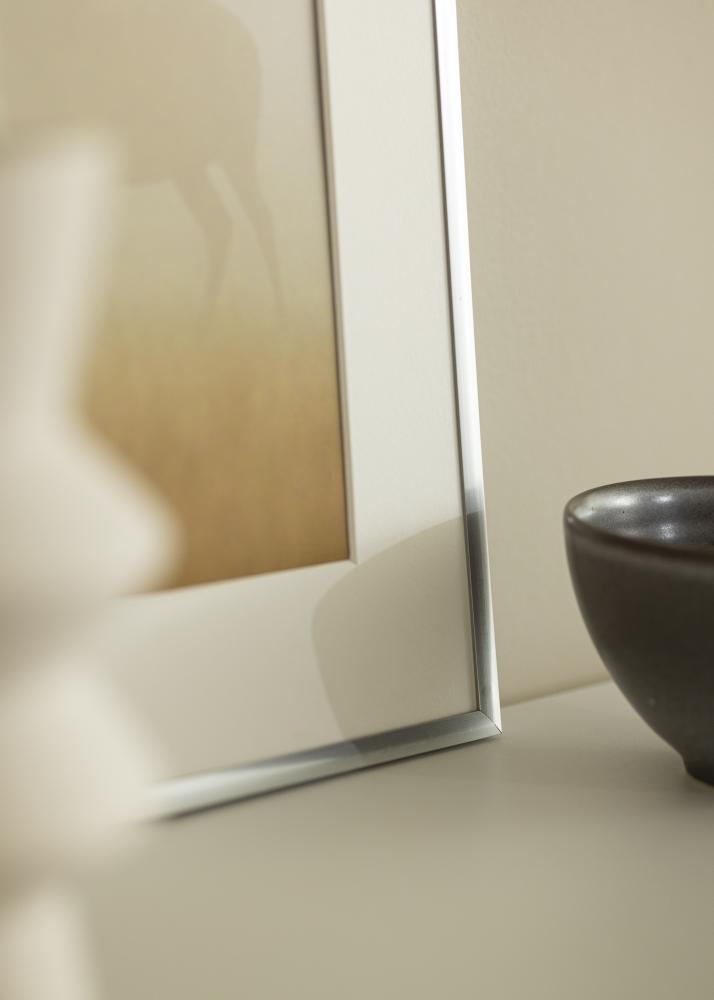 Okvir New Lifestyle Srebro 10x18 cm - Paspartui Bijela 8x10 cm