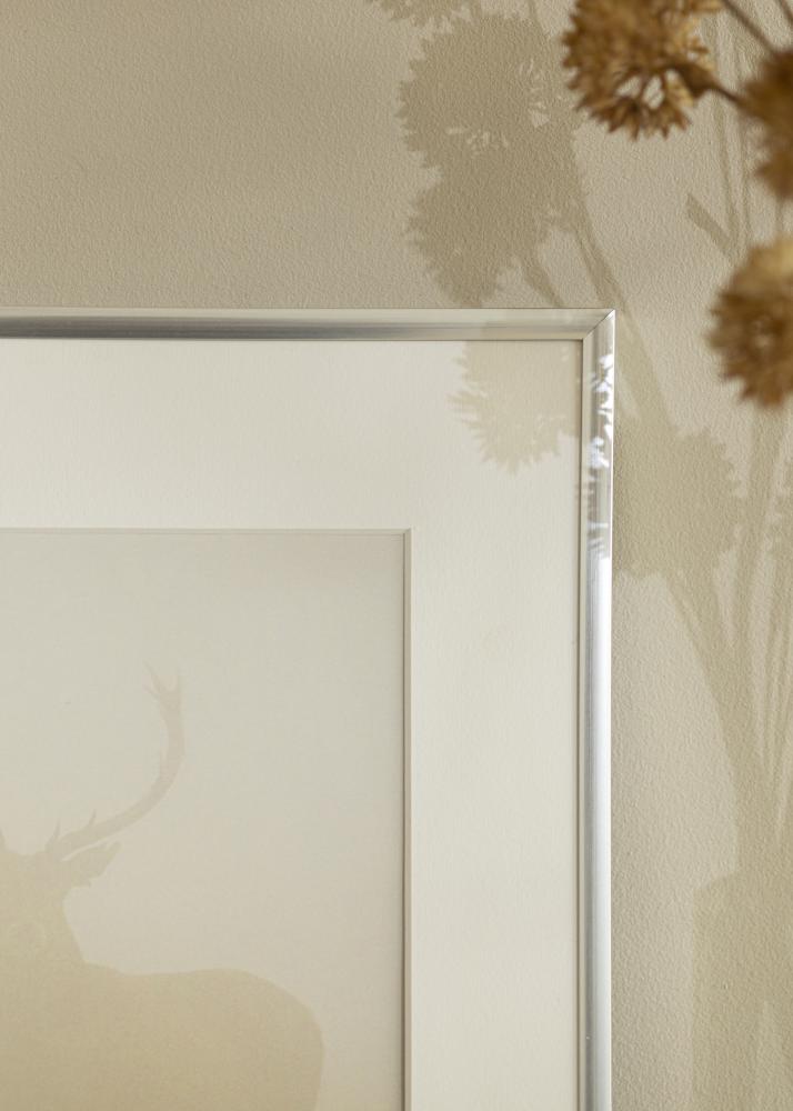 Okvir New Lifestyle Srebro 10x18 cm - Paspartui Bijela 8x10 cm