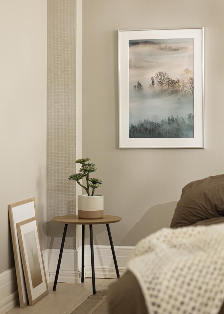 Okvir New Lifestyle Srebro 10x18 cm - Paspartui Bijela 8x10 cm