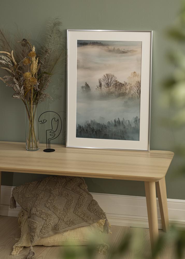 Okvir New Lifestyle Srebro 10x18 cm - Paspartui Bijela 8x10 cm