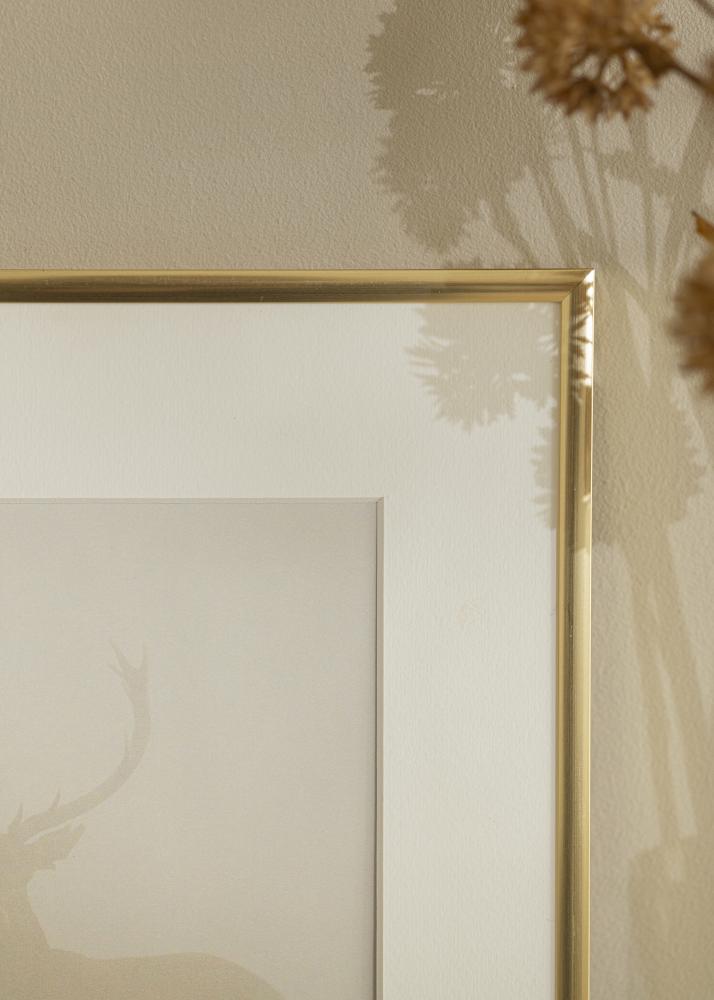 Okvir New Lifestyle Zlato 60x90 cm - Paspartui Bijela 40x70 cm