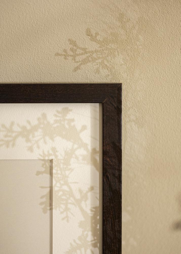 Okvir Selection orah 60x75 cm - Paspartui Bijela 48x66 cm