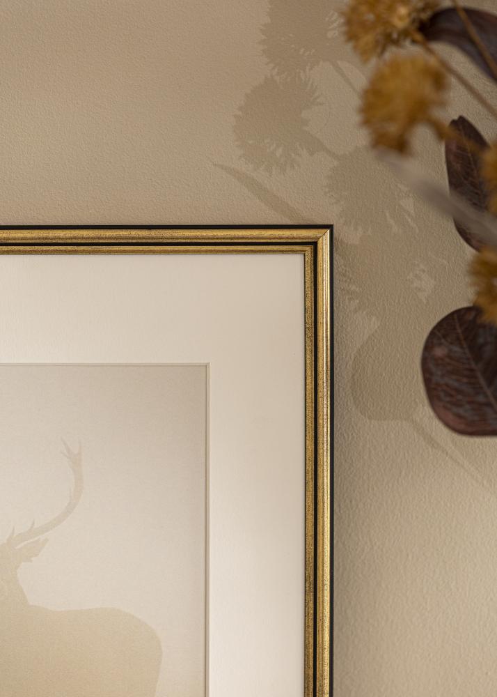 Okvir Horndal Akrilno staklo Zlato 7x10 cm