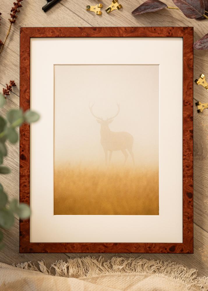 Okvir Hermes orah 60x80 cm - Paspartui Bijela 20x28 inča