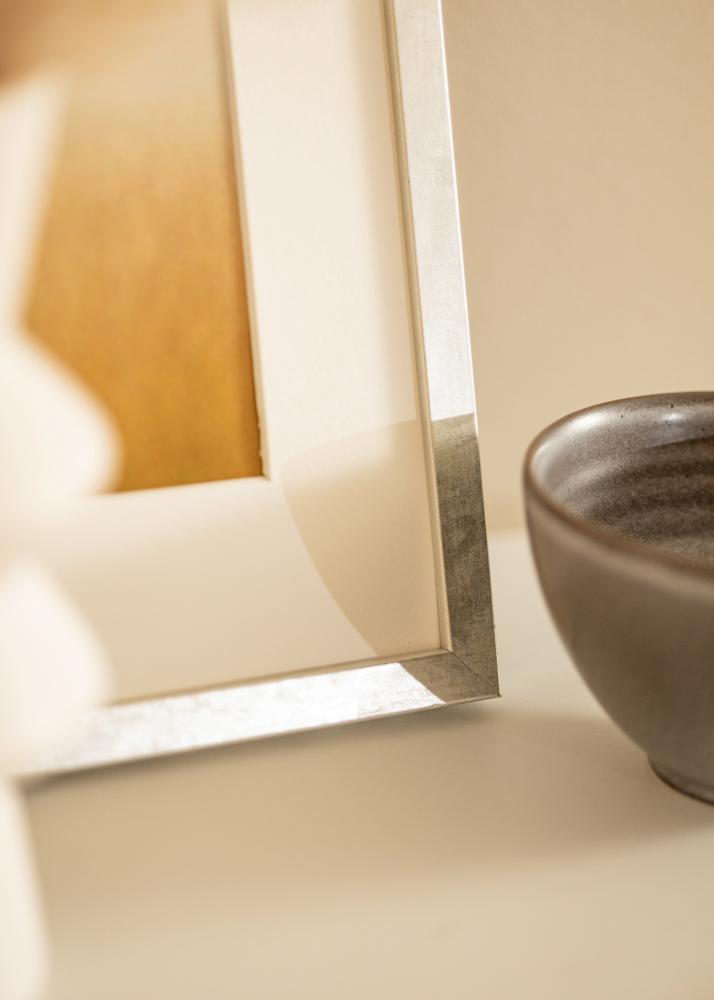 Okvir Ares Srebro 24x30 cm - Paspartui Bijela 7x9 inča