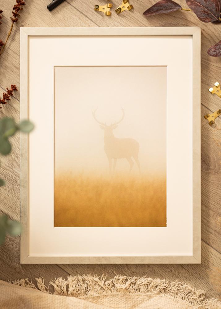 Okvir Ares Srebro 24x30 cm - Paspartui Bijela 7x9 inča