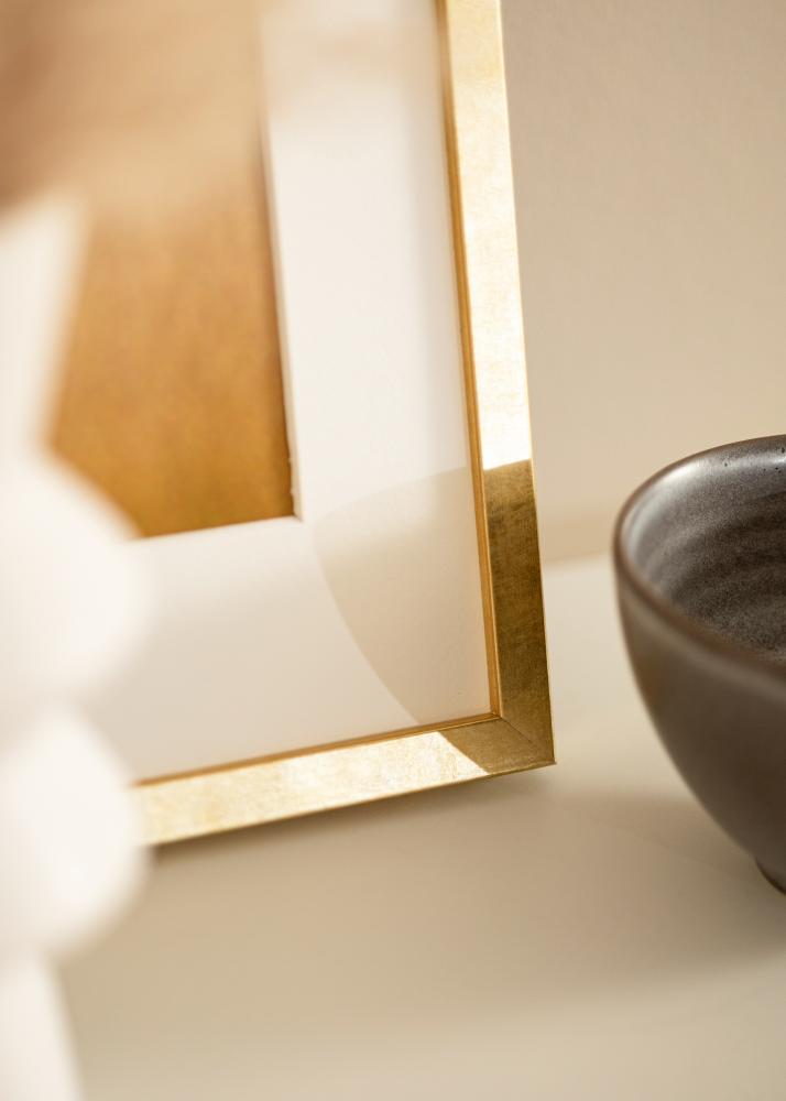 Okvir Ares Zlato 50x60 cm - Paspartui Bijela 16x20 inča