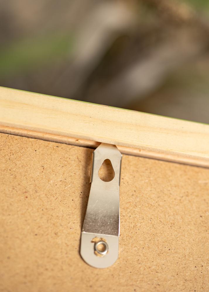 Okvir Diana svijetlo zelena 60x80 cm - paspartu Bijela 20x27 inča