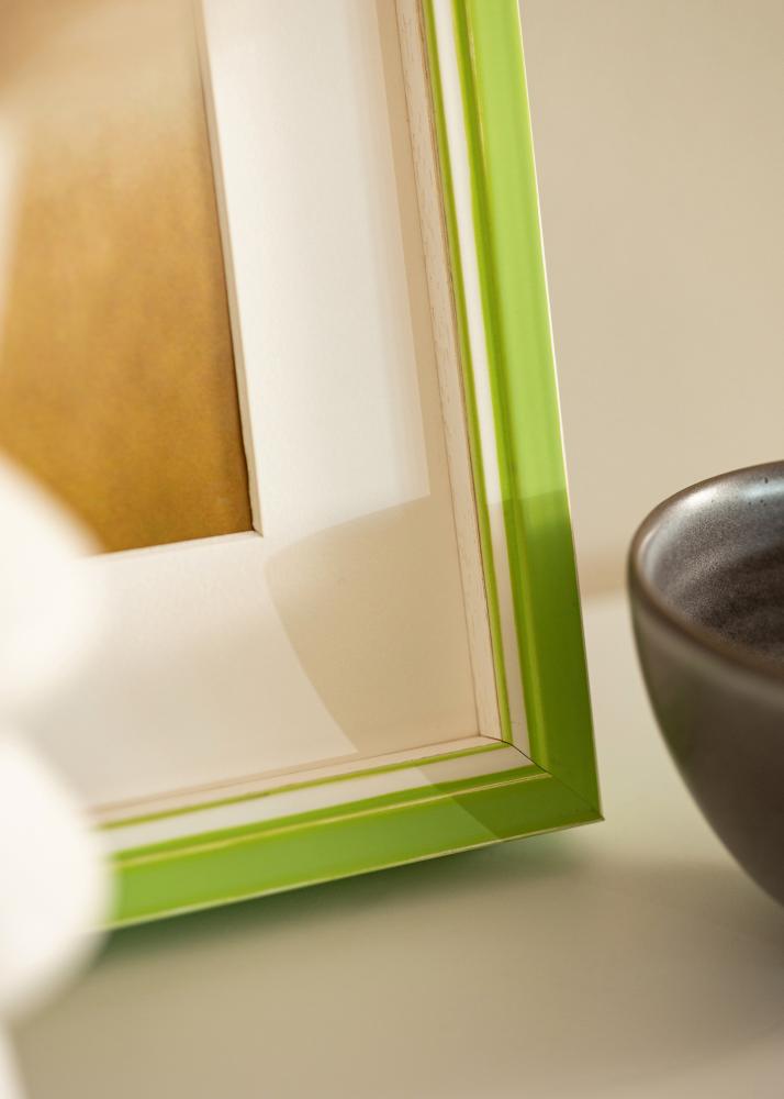 Okvir Diana svijetlo zelena 60x80 cm - paspartu Bijela 20x27 inča