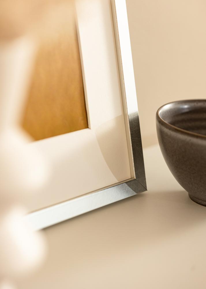 Okvir Minerva Srebro 30x40 cm - Paspartui Bijela 20x28 cm