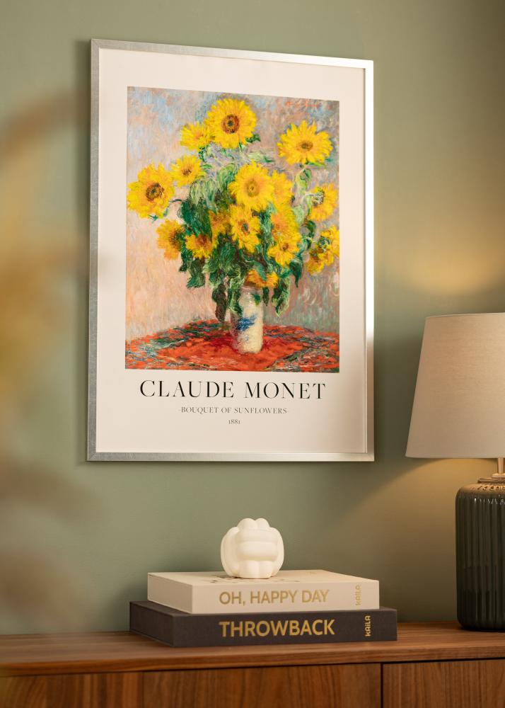 Okvir Minerva Srebro 30x40 cm - Paspartui Bijela 20x28 cm