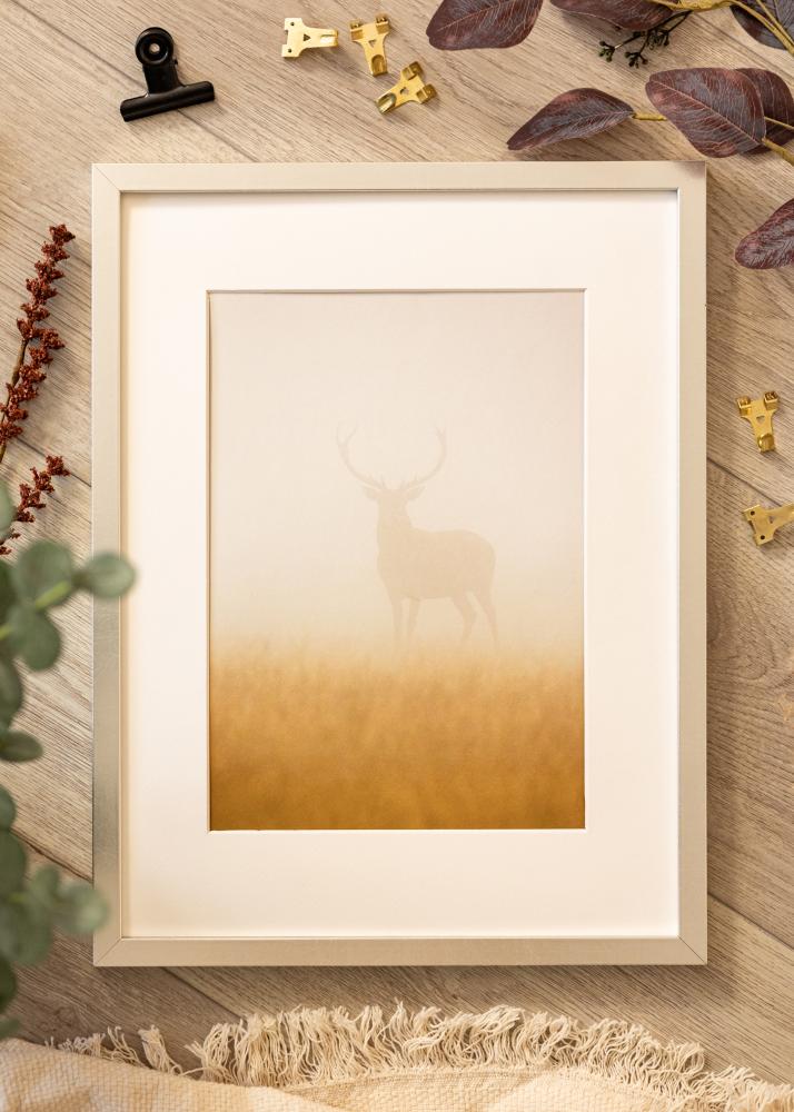 Okvir Minerva Srebro 30x40 cm - Paspartui Bijela 20x28 cm