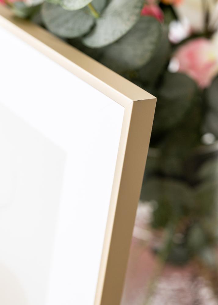 Aluminijski okvir mjed 70x100 cm - Paspartui Bijela 24x36 inča