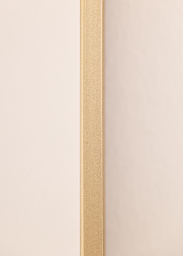 Aluminijski okvir mjed 70x100 cm - Paspartui Bijela 24x36 inča