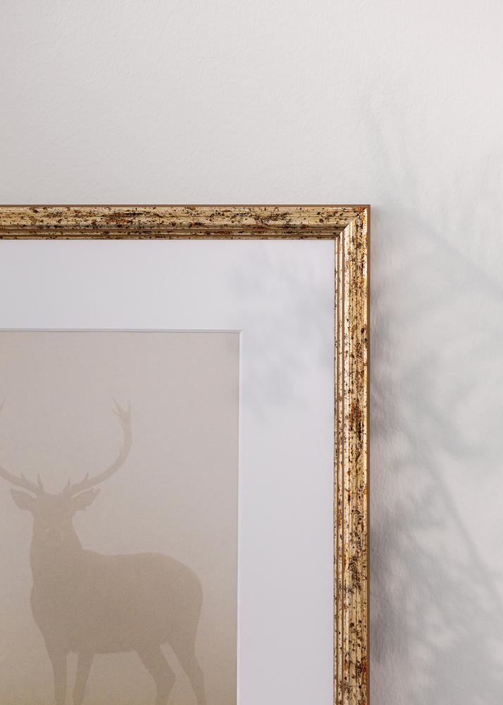 Okvir Claudia Akrylno staklo Srebro 40x60 cm